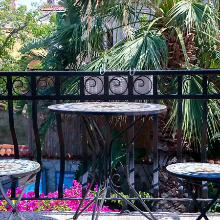 Hotel Palm Boutique