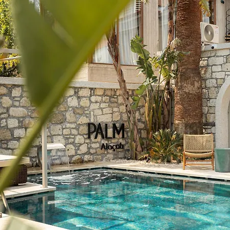 Hotel Palm Boutique 3*