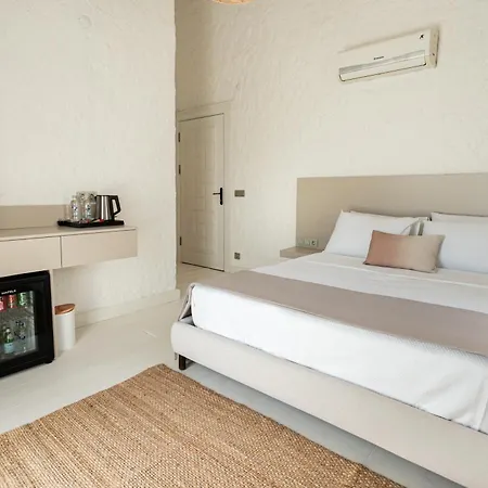 Palm Boutique Hotel