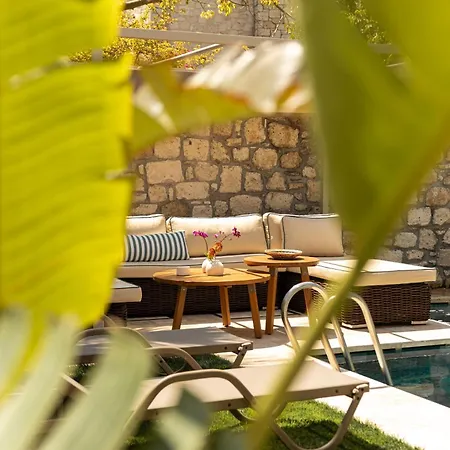 Palm Boutique Hotel