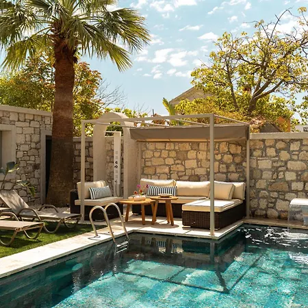 Hotel Palm Boutique