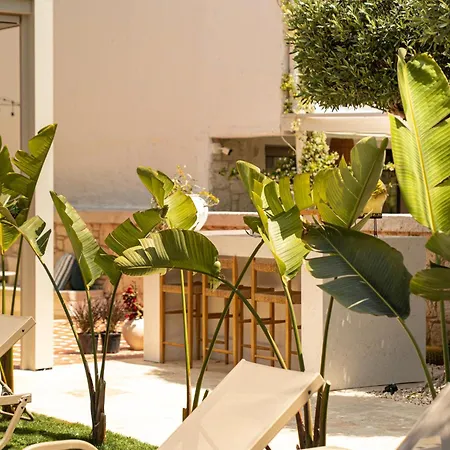Palm Boutique